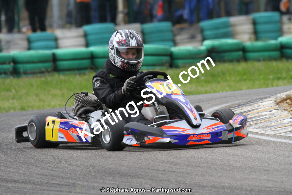 02/06/2013 : 4ème manche du Championnat du Sud 2013 à Alès (Photos Stéphane Agnus) 2013 — karting