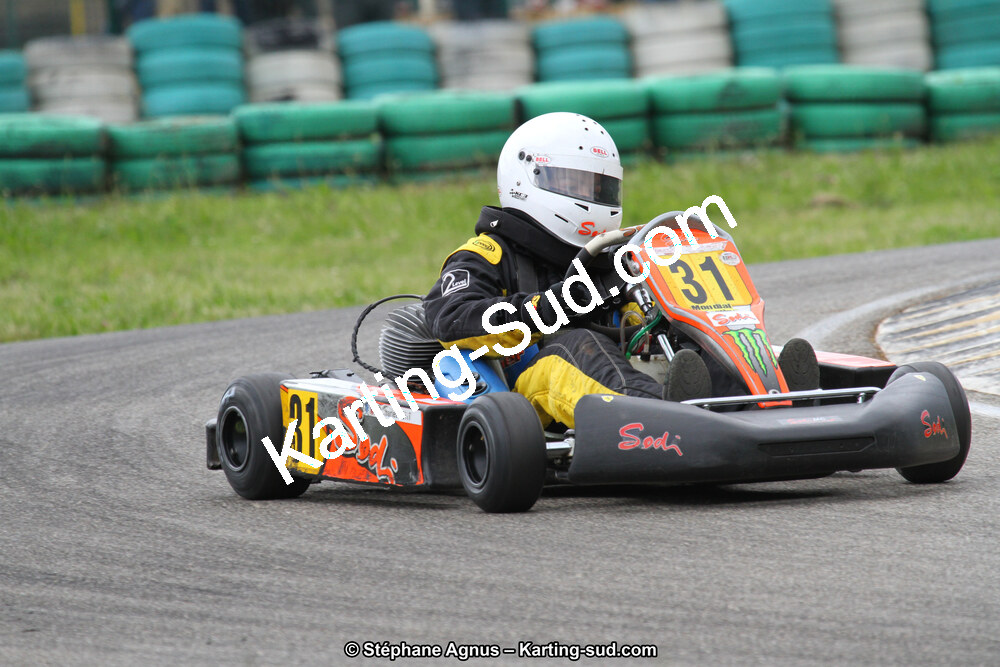 02/06/2013 : 4ème manche du Championnat du Sud 2013 à Alès (Photos Stéphane Agnus) 2013 — karting