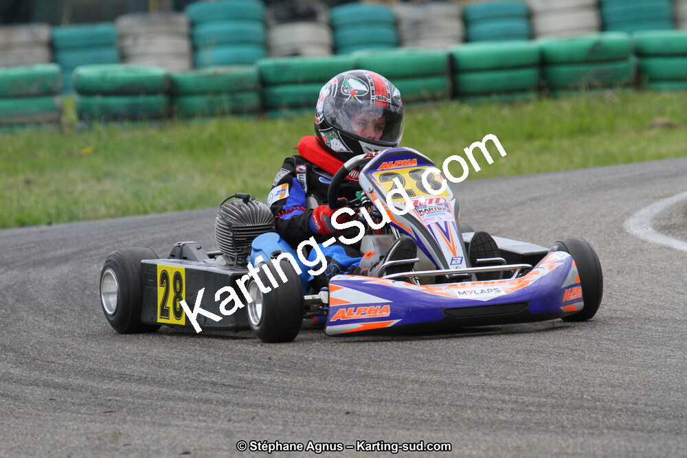 02/06/2013 : 4ème manche du Championnat du Sud 2013 à Alès (Photos Stéphane Agnus) 2013 — karting