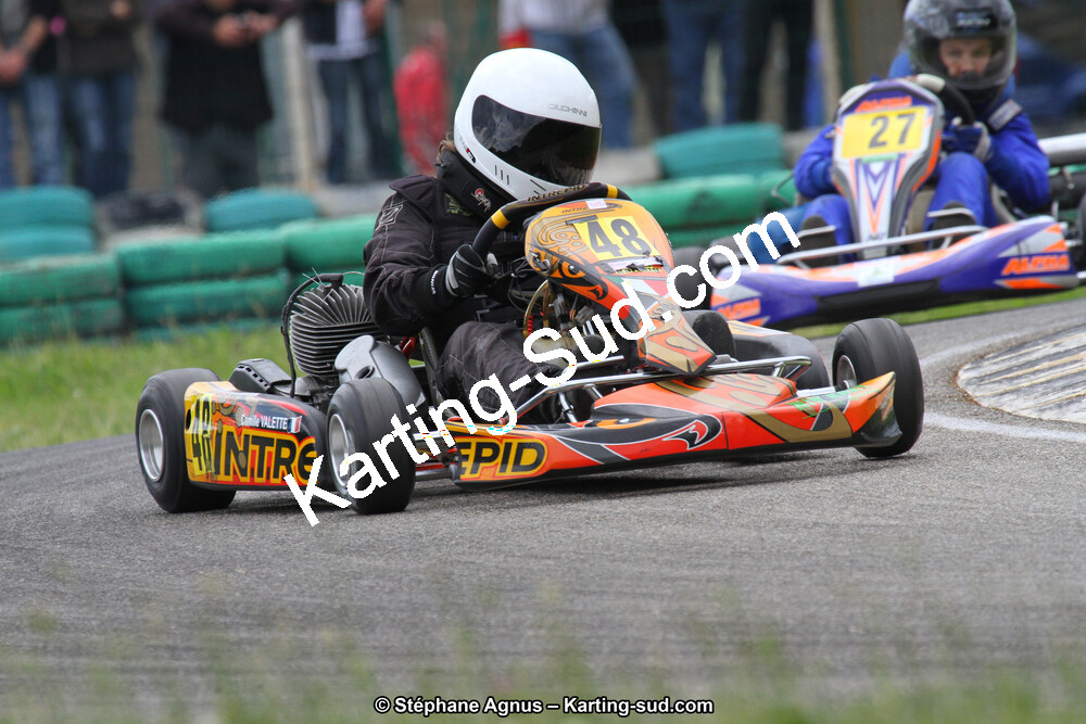 02/06/2013 : 4ème manche du Championnat du Sud 2013 à Alès (Photos Stéphane Agnus) 2013 — karting