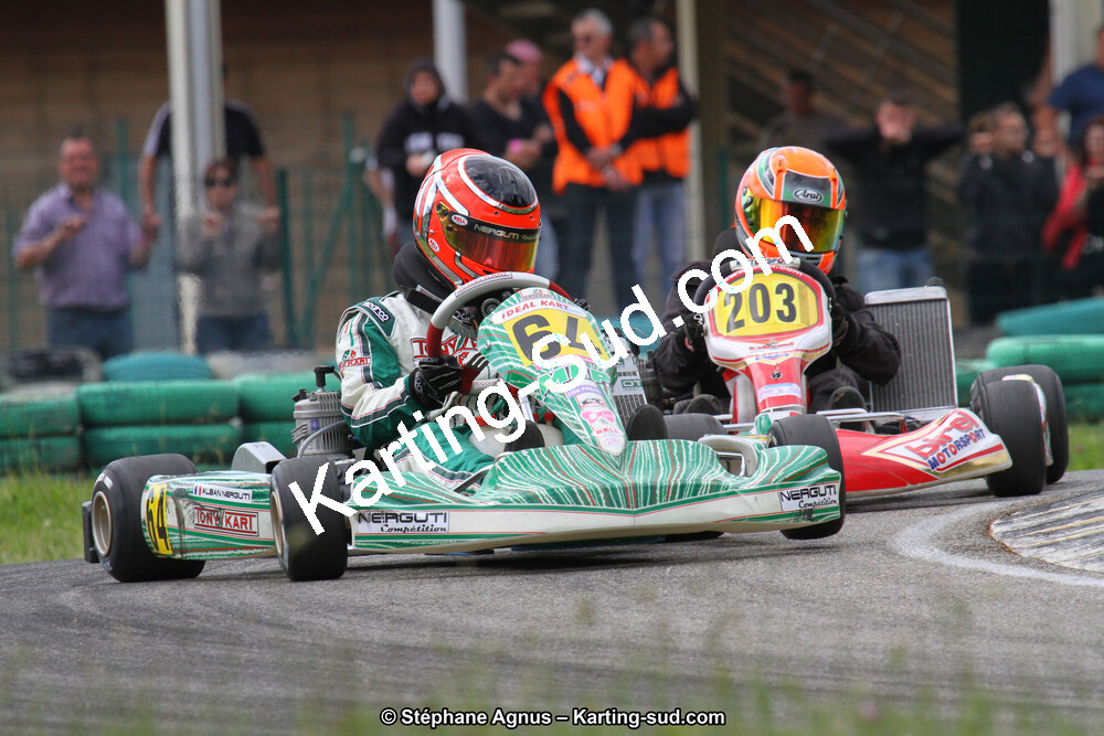 02/06/2013 : 4ème manche du Championnat du Sud 2013 à Alès (Photos Stéphane Agnus) 2013 — karting