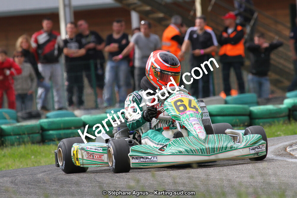 02/06/2013 : 4ème manche du Championnat du Sud 2013 à Alès (Photos Stéphane Agnus) 2013 — karting