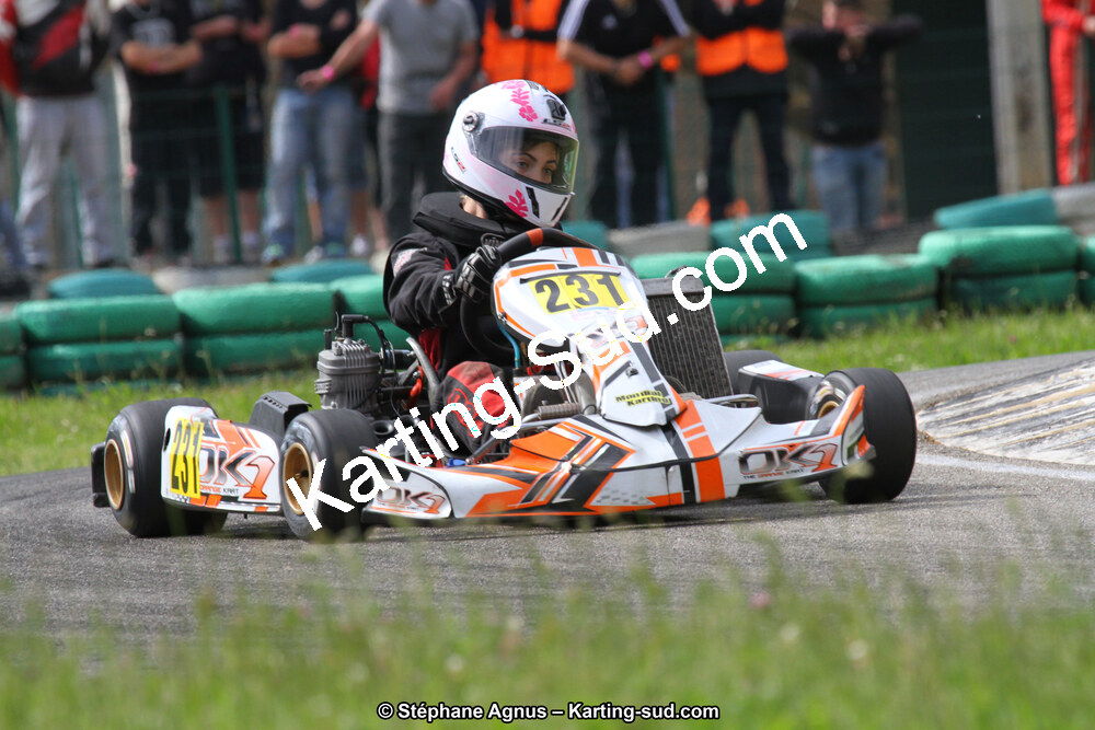 02/06/2013 : 4ème manche du Championnat du Sud 2013 à Alès (Photos Stéphane Agnus) 2013 — karting