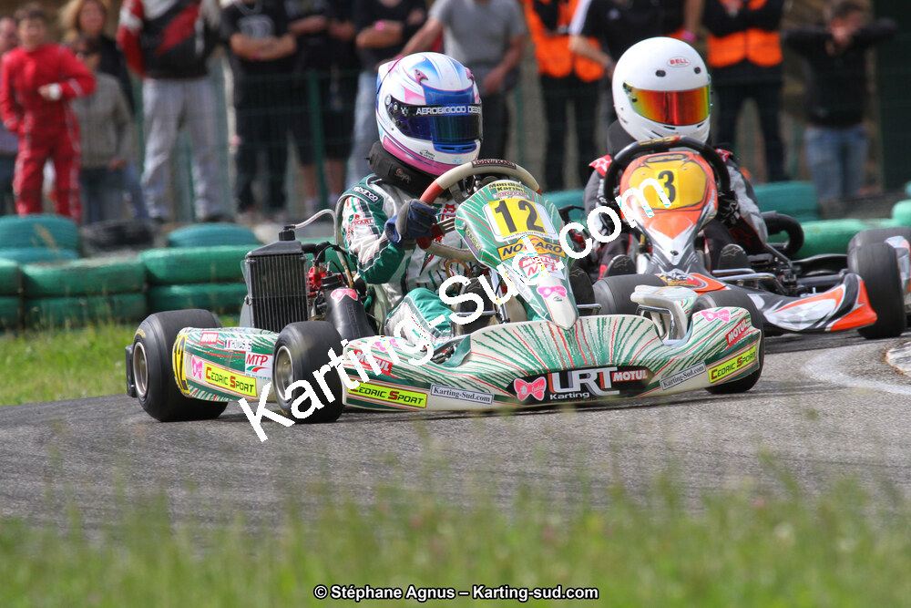 02/06/2013 : 4ème manche du Championnat du Sud 2013 à Alès (Photos Stéphane Agnus) 2013 — karting