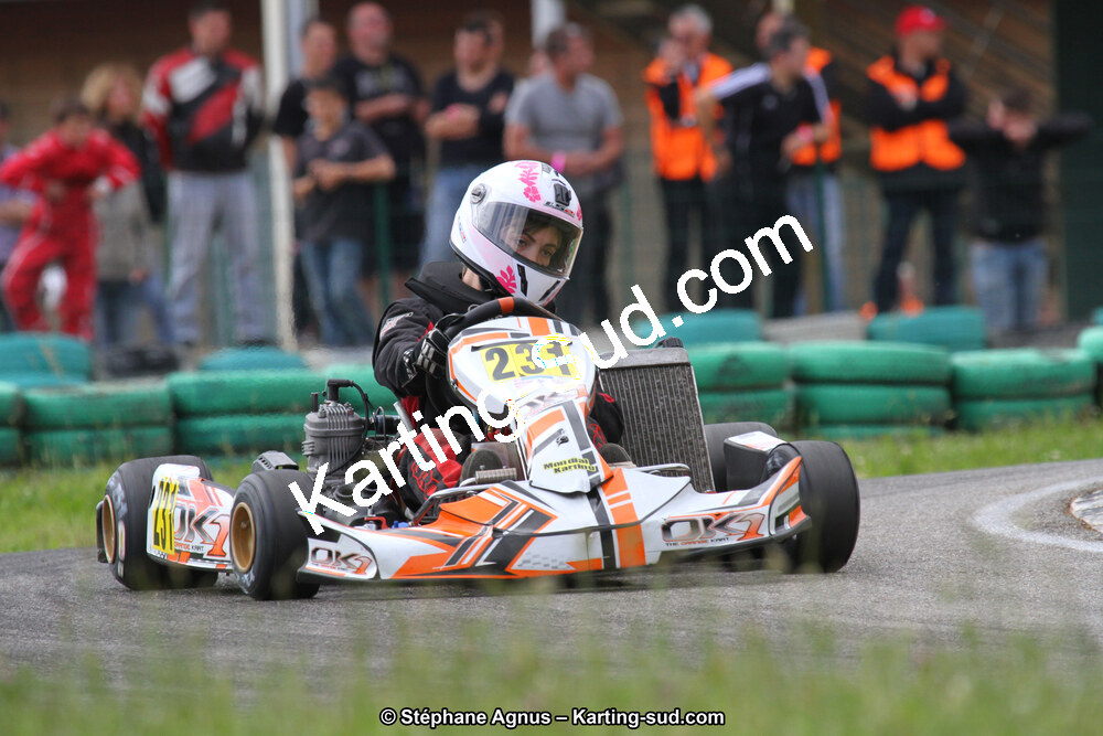 02/06/2013 : 4ème manche du Championnat du Sud 2013 à Alès (Photos Stéphane Agnus) 2013 — karting