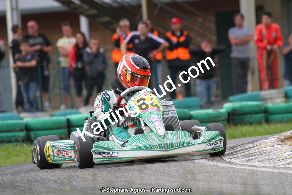 02/06/2013 : 4ème manche du Championnat du Sud 2013 à Alès (Photos Stéphane Agnus) 2013 — karting