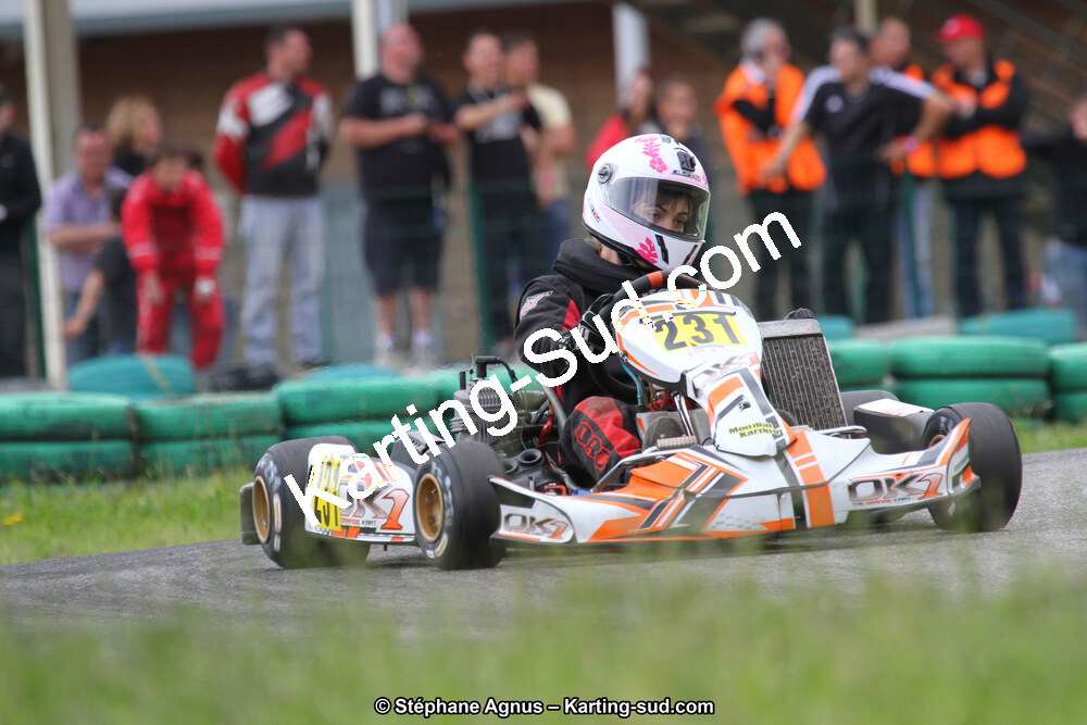 02/06/2013 : 4ème manche du Championnat du Sud 2013 à Alès (Photos Stéphane Agnus) 2013 — karting