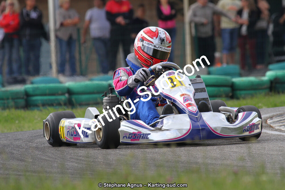 02/06/2013 : 4ème manche du Championnat du Sud 2013 à Alès (Photos Stéphane Agnus) 2013 — karting