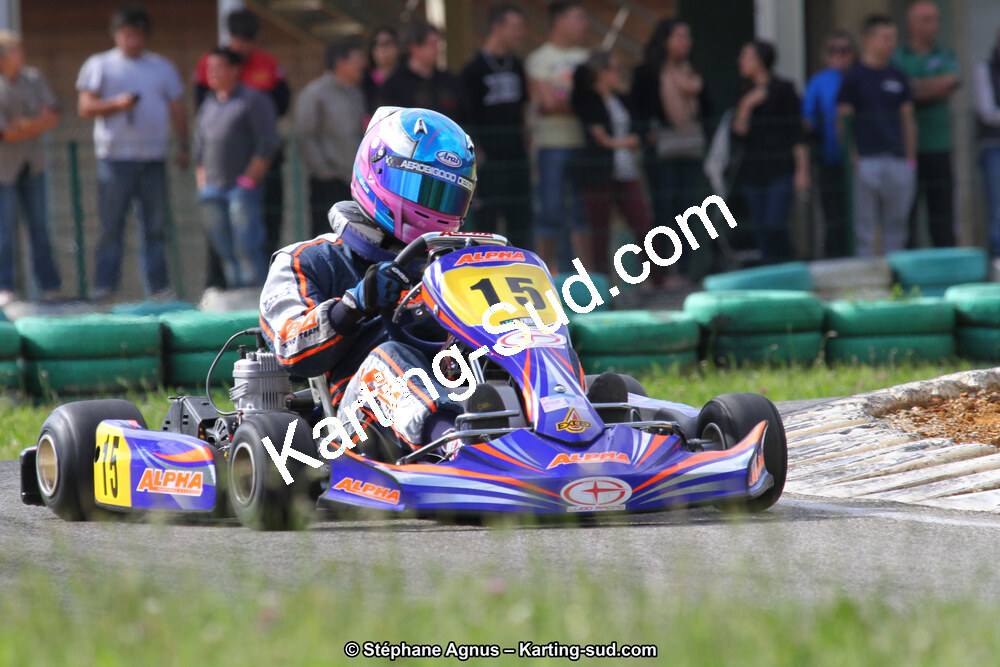 02/06/2013 : 4ème manche du Championnat du Sud 2013 à Alès (Photos Stéphane Agnus) 2013 — karting