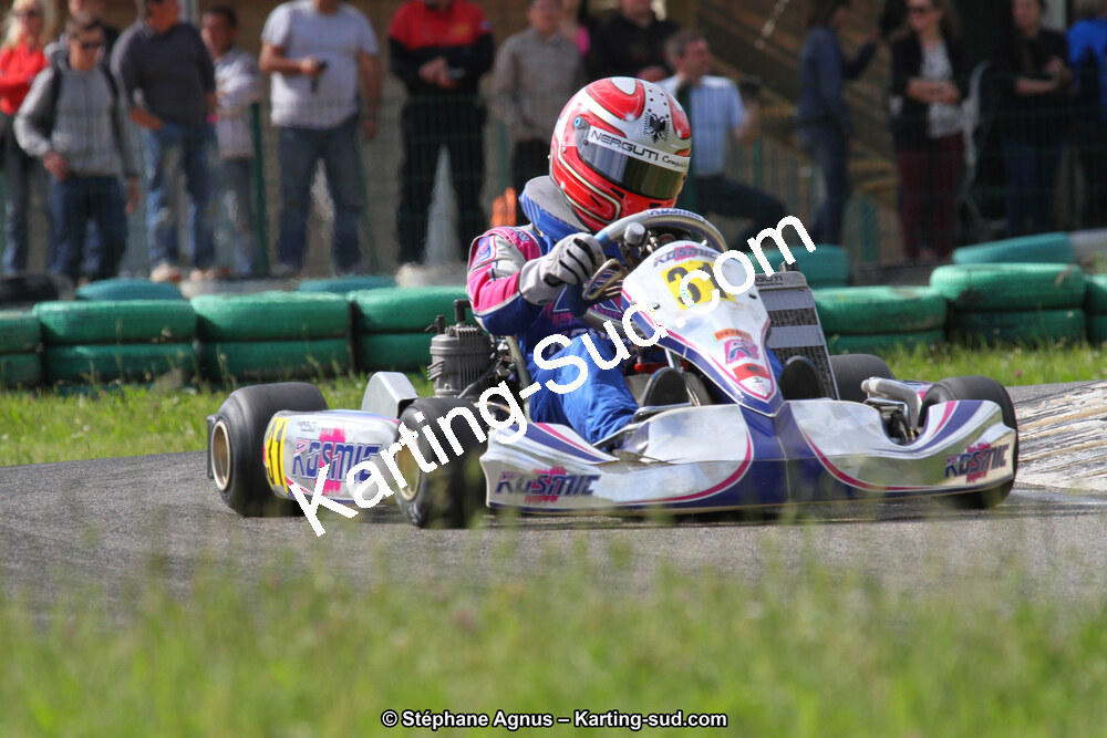 02/06/2013 : 4ème manche du Championnat du Sud 2013 à Alès (Photos Stéphane Agnus) 2013 — karting