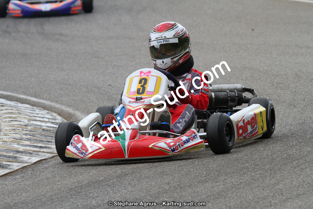 02/06/2013 : 4ème manche du Championnat du Sud 2013 à Alès (Photos Stéphane Agnus) 2013 — karting