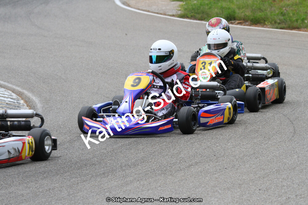 02/06/2013 : 4ème manche du Championnat du Sud 2013 à Alès (Photos Stéphane Agnus) 2013 — karting
