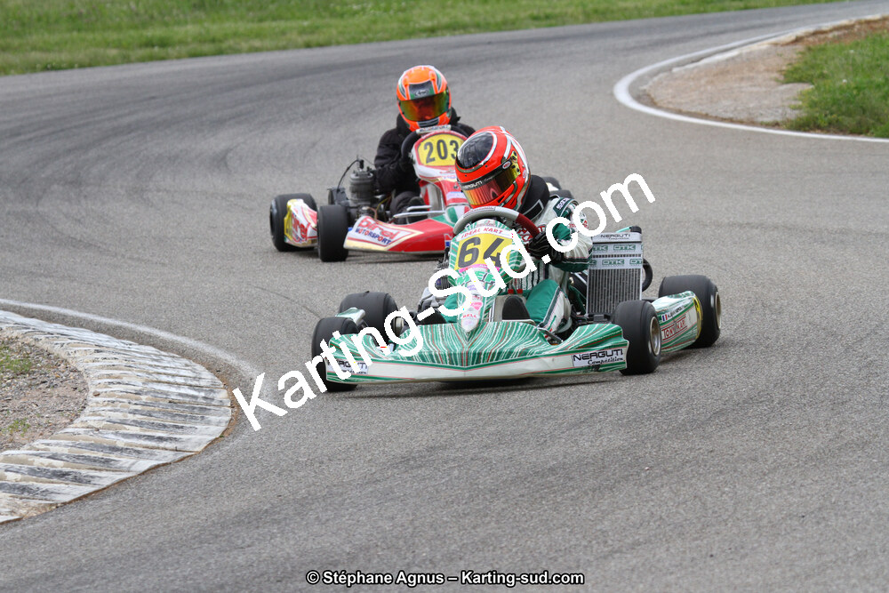 02/06/2013 : 4ème manche du Championnat du Sud 2013 à Alès (Photos Stéphane Agnus) 2013 — karting