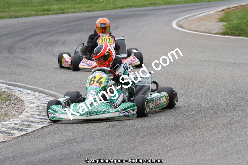 02/06/2013 : 4ème manche du Championnat du Sud 2013 à Alès (Photos Stéphane Agnus) 2013 — karting