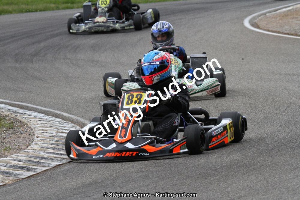 02/06/2013 : 4ème manche du Championnat du Sud 2013 à Alès (Photos Stéphane Agnus) 2013 — karting