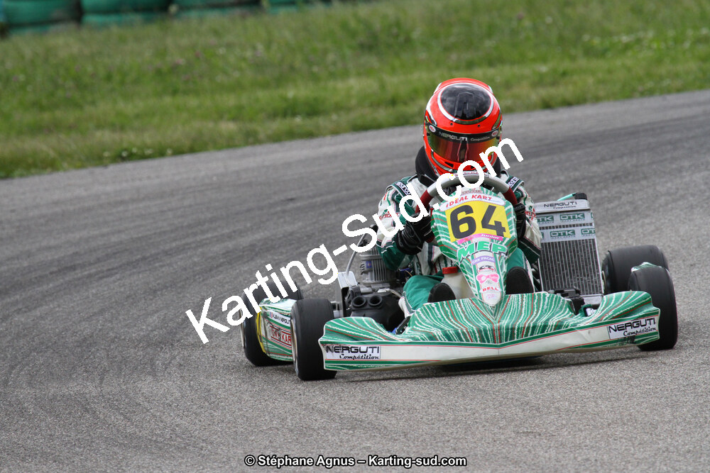 02/06/2013 : 4ème manche du Championnat du Sud 2013 à Alès (Photos Stéphane Agnus) 2013 — karting