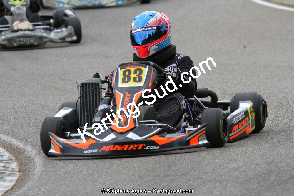 02/06/2013 : 4ème manche du Championnat du Sud 2013 à Alès (Photos Stéphane Agnus) 2013 — karting