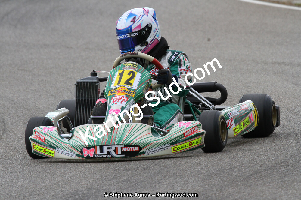 02/06/2013 : 4ème manche du Championnat du Sud 2013 à Alès (Photos Stéphane Agnus) 2013 — karting