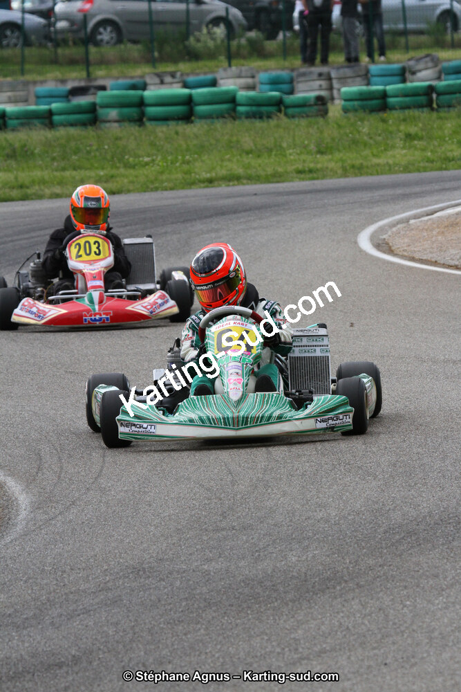 02/06/2013 : 4ème manche du Championnat du Sud 2013 à Alès (Photos Stéphane Agnus) 2013 — karting
