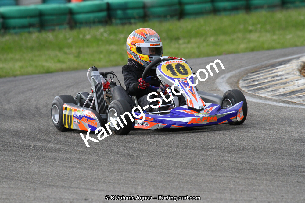 02/06/2013 : 4ème manche du Championnat du Sud 2013 à Alès (Photos Stéphane Agnus) 2013 — karting