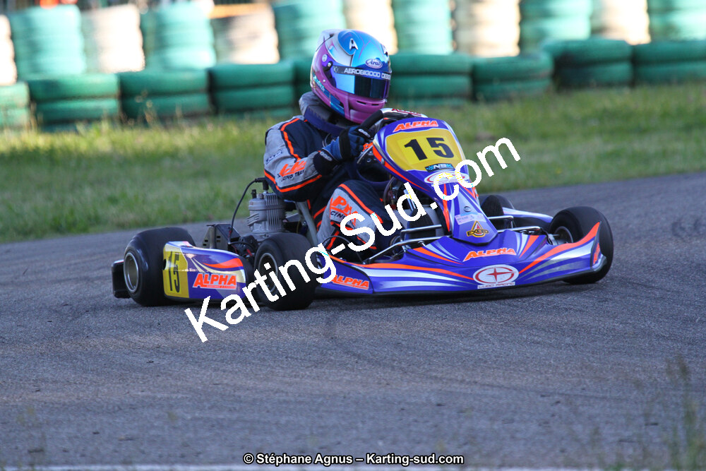 02/06/2013 : 4ème manche du Championnat du Sud 2013 à Alès (Photos Stéphane Agnus) 2013 — karting