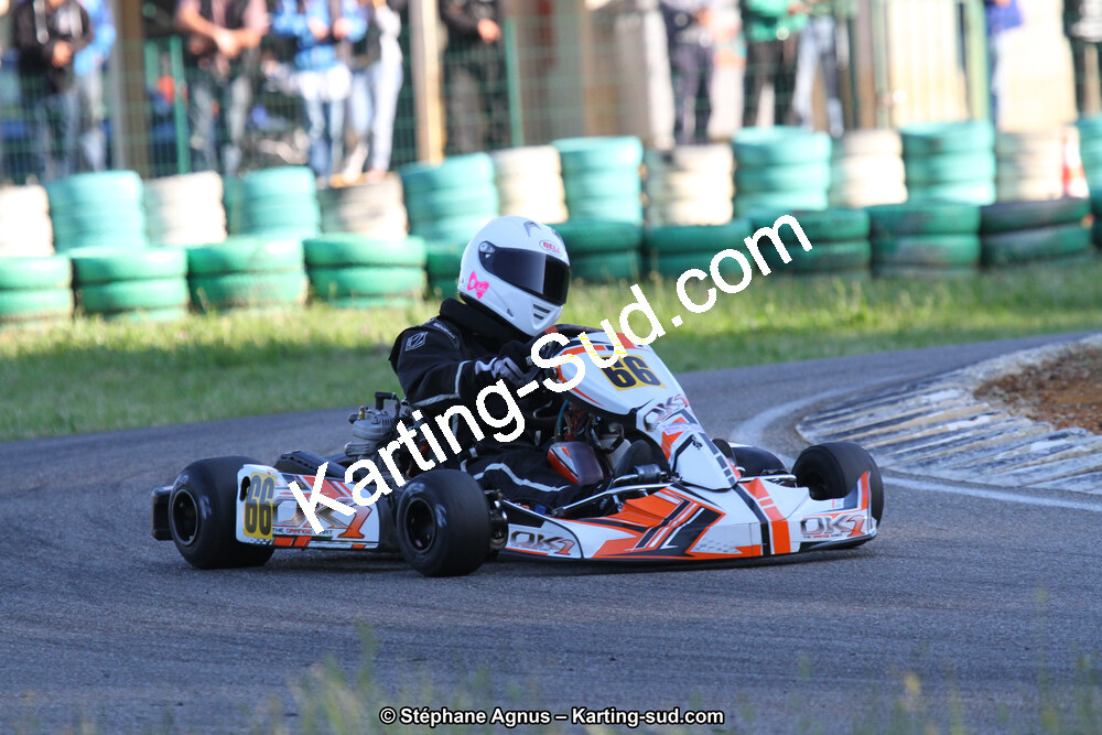 02/06/2013 : 4ème manche du Championnat du Sud 2013 à Alès (Photos Stéphane Agnus) 2013 — karting