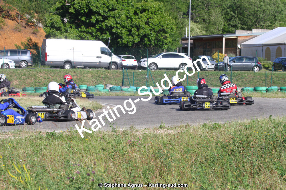 02/06/2013 : 4ème manche du Championnat du Sud 2013 à Alès (Photos Stéphane Agnus) 2013 — karting