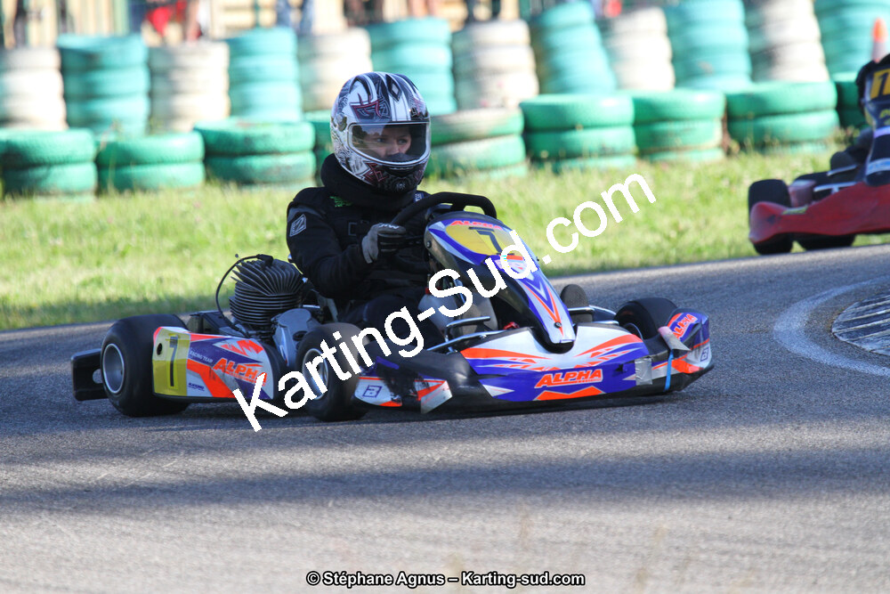 02/06/2013 : 4ème manche du Championnat du Sud 2013 à Alès (Photos Stéphane Agnus) 2013 — karting