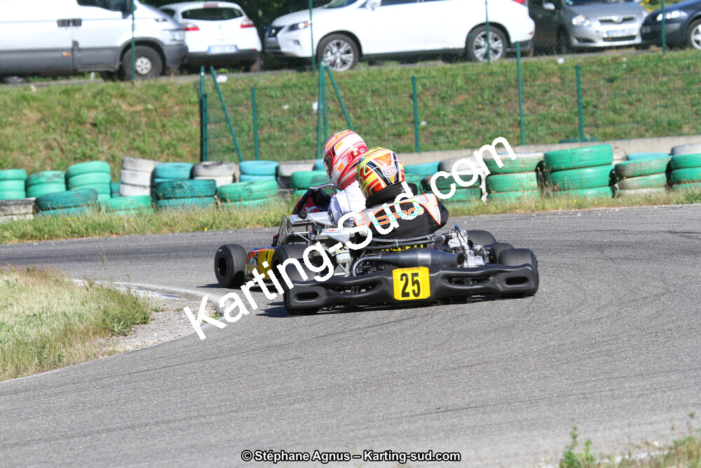 02/06/2013 : 4ème manche du Championnat du Sud 2013 à Alès (Photos Stéphane Agnus) 2013 — karting
