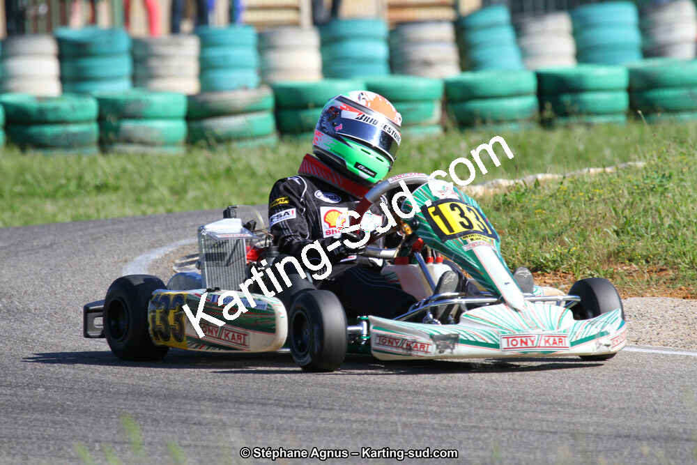 02/06/2013 : 4ème manche du Championnat du Sud 2013 à Alès (Photos Stéphane Agnus) 2013 — karting