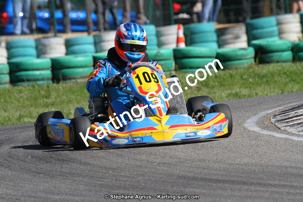 02/06/2013 : 4ème manche du Championnat du Sud 2013 à Alès (Photos Stéphane Agnus) 2013 — karting