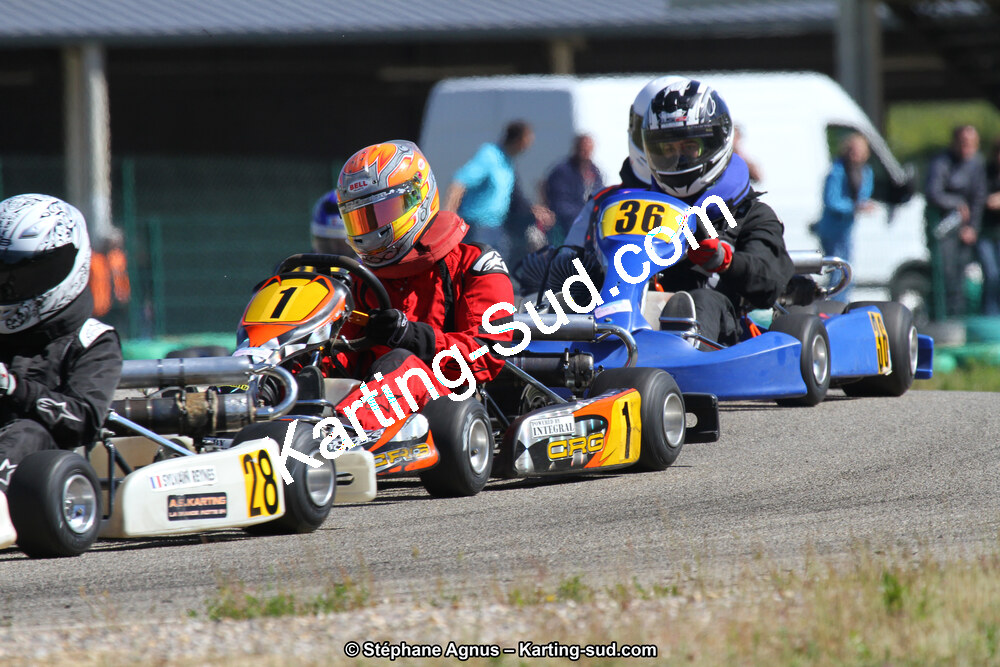 02/06/2013 : 4ème manche du Championnat du Sud 2013 à Alès (Photos Stéphane Agnus) 2013 — karting
