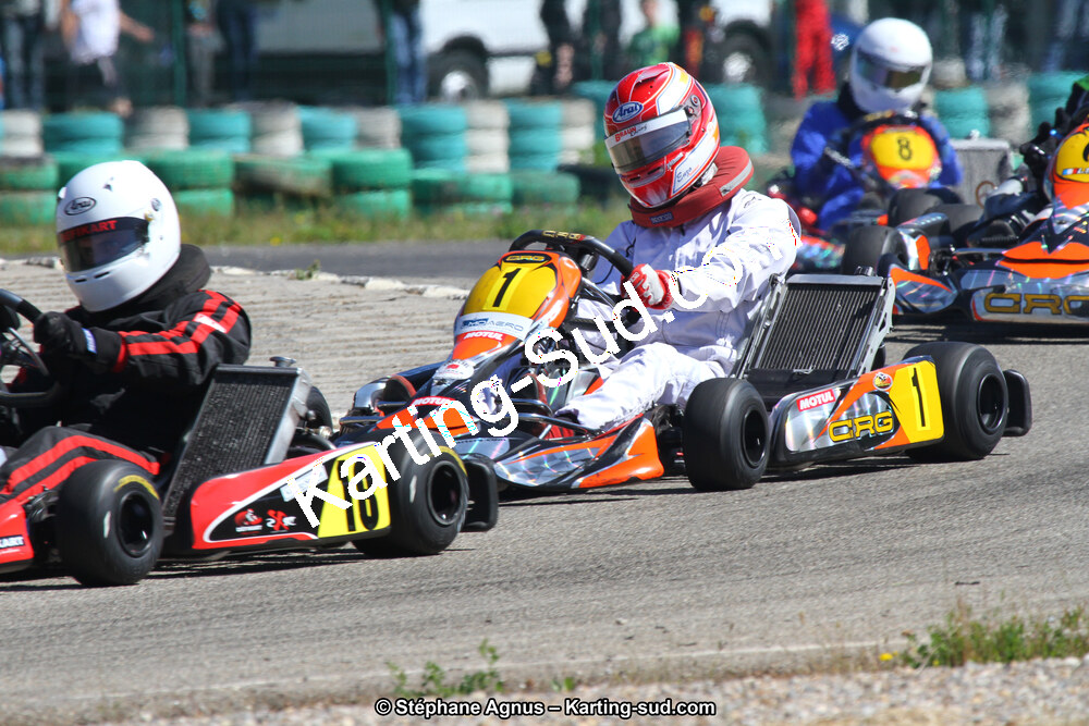 02/06/2013 : 4ème manche du Championnat du Sud 2013 à Alès (Photos Stéphane Agnus) 2013 — karting