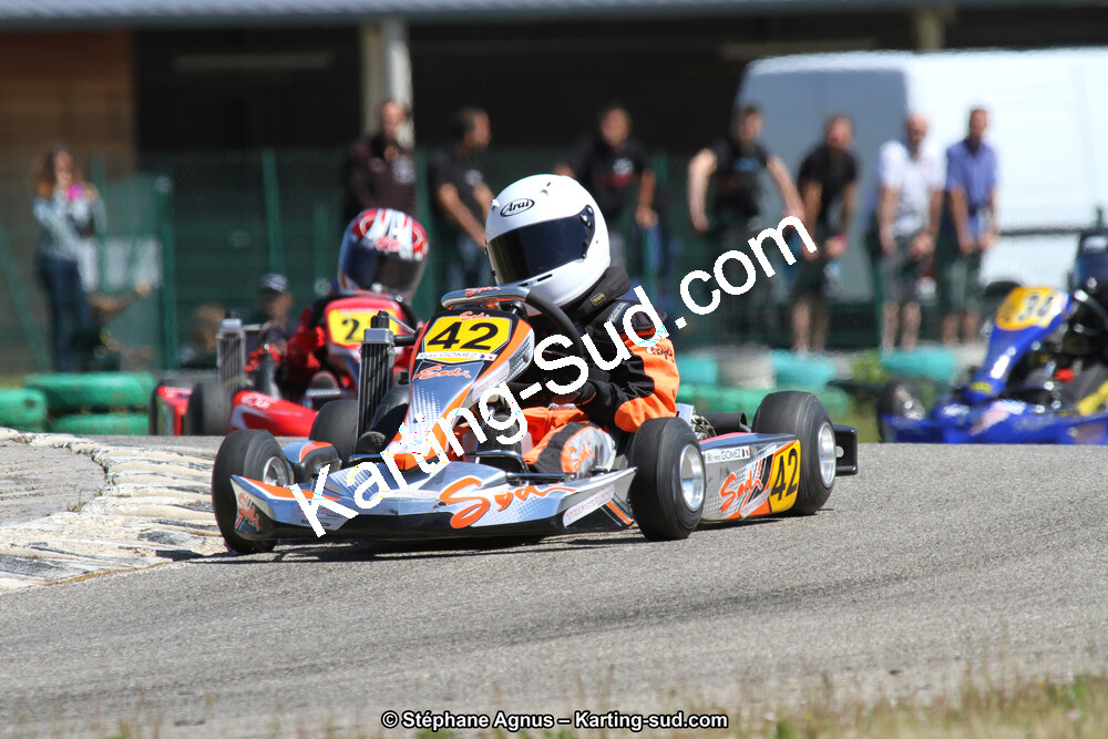 02/06/2013 : 4ème manche du Championnat du Sud 2013 à Alès (Photos Stéphane Agnus) 2013 — karting