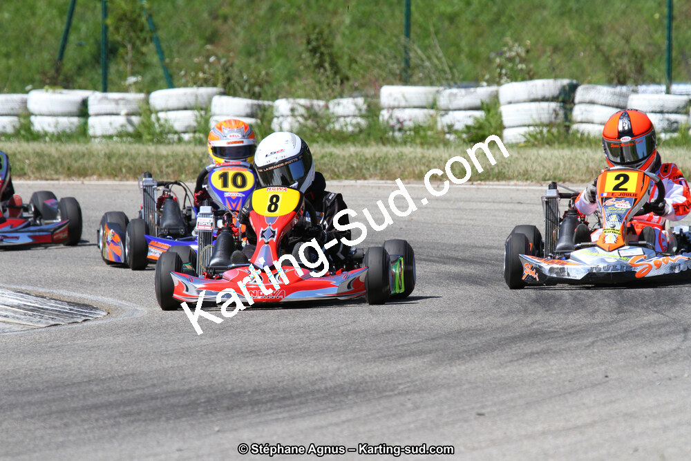 02/06/2013 : 4ème manche du Championnat du Sud 2013 à Alès (Photos Stéphane Agnus) 2013 — karting