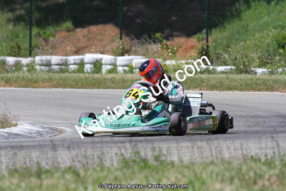02/06/2013 : 4ème manche du Championnat du Sud 2013 à Alès (Photos Stéphane Agnus) 2013 — karting