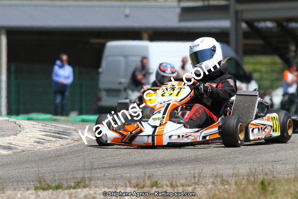 02/06/2013 : 4ème manche du Championnat du Sud 2013 à Alès (Photos Stéphane Agnus) 2013 — karting