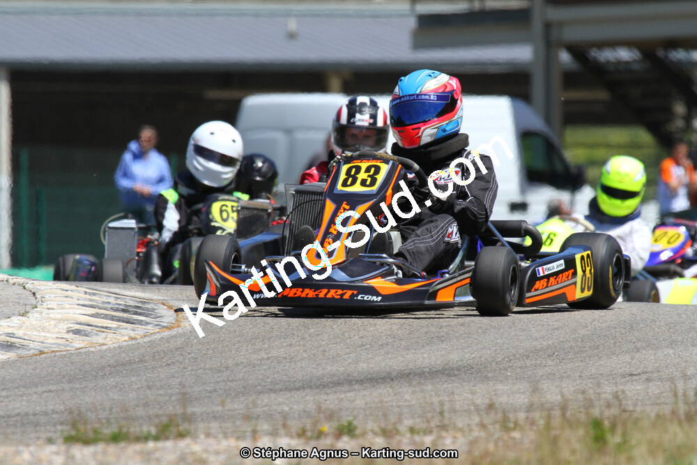 02/06/2013 : 4ème manche du Championnat du Sud 2013 à Alès (Photos Stéphane Agnus) 2013 — karting