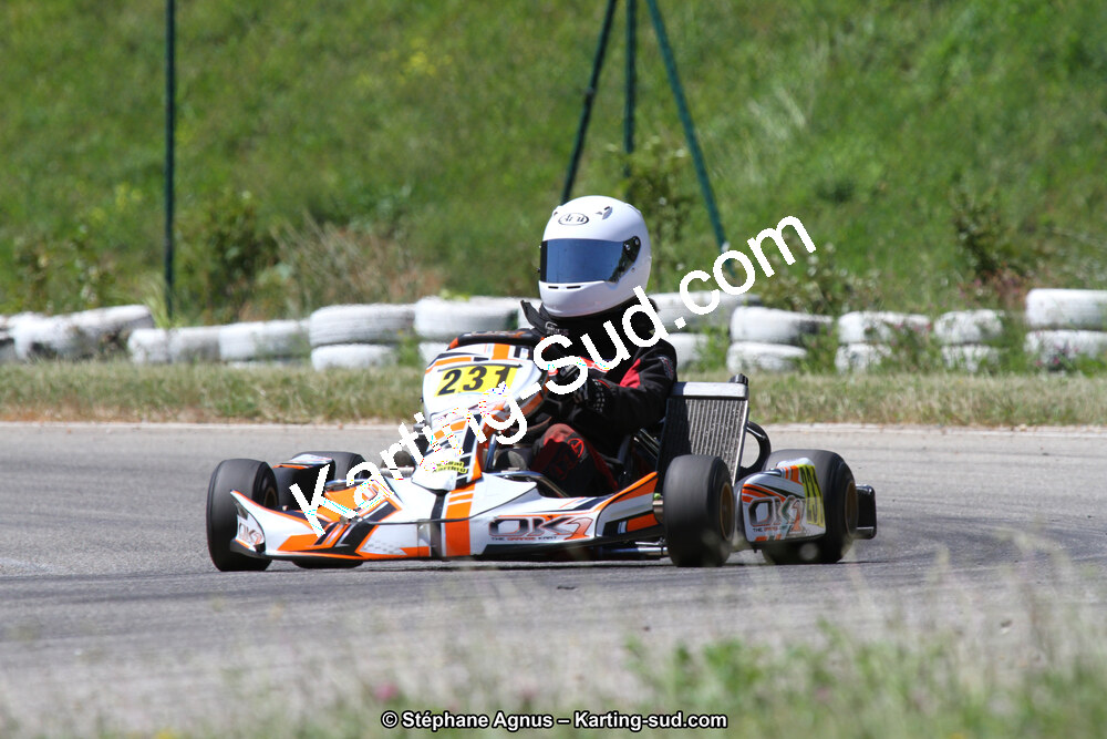 02/06/2013 : 4ème manche du Championnat du Sud 2013 à Alès (Photos Stéphane Agnus) 2013 — karting