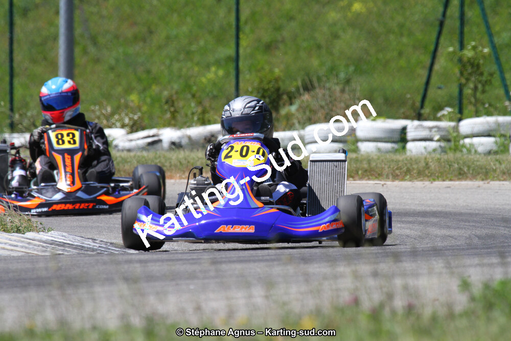 02/06/2013 : 4ème manche du Championnat du Sud 2013 à Alès (Photos Stéphane Agnus) 2013 — karting