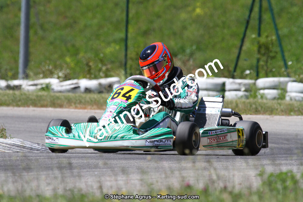 02/06/2013 : 4ème manche du Championnat du Sud 2013 à Alès (Photos Stéphane Agnus) 2013 — karting