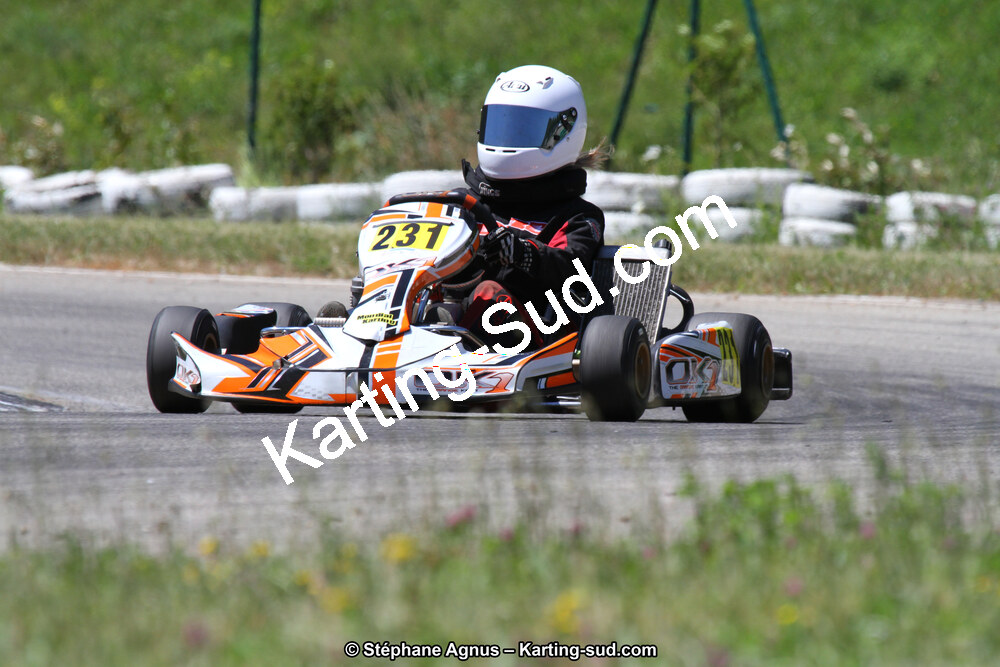 02/06/2013 : 4ème manche du Championnat du Sud 2013 à Alès (Photos Stéphane Agnus) 2013 — karting