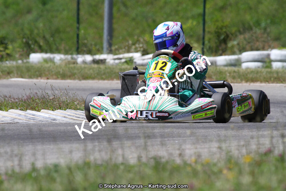 02/06/2013 : 4ème manche du Championnat du Sud 2013 à Alès (Photos Stéphane Agnus) 2013 — karting