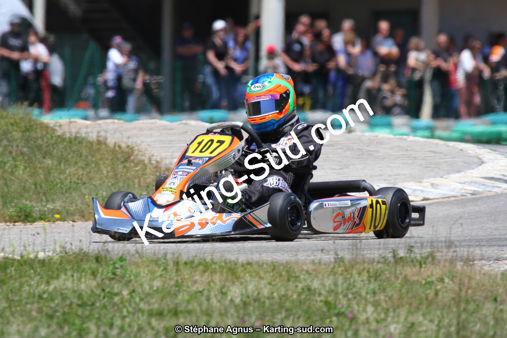 02/06/2013 : 4ème manche du Championnat du Sud 2013 à Alès (Photos Stéphane Agnus) 2013 — karting