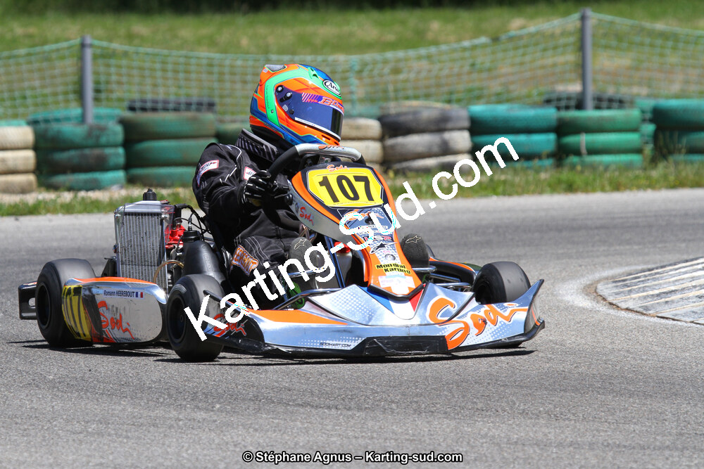 02/06/2013 : 4ème manche du Championnat du Sud 2013 à Alès (Photos Stéphane Agnus) 2013 — karting