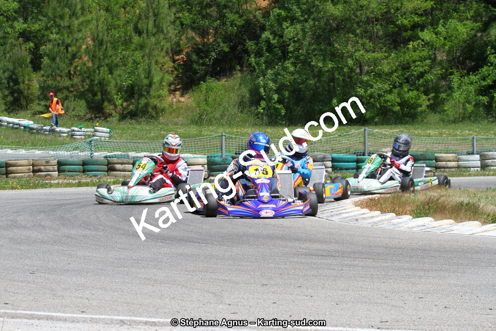 02/06/2013 : 4ème manche du Championnat du Sud 2013 à Alès (Photos Stéphane Agnus) 2013 — karting