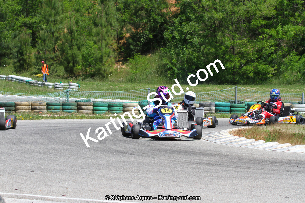 02/06/2013 : 4ème manche du Championnat du Sud 2013 à Alès (Photos Stéphane Agnus) 2013 — karting