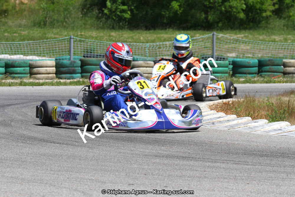 02/06/2013 : 4ème manche du Championnat du Sud 2013 à Alès (Photos Stéphane Agnus) 2013 — karting
