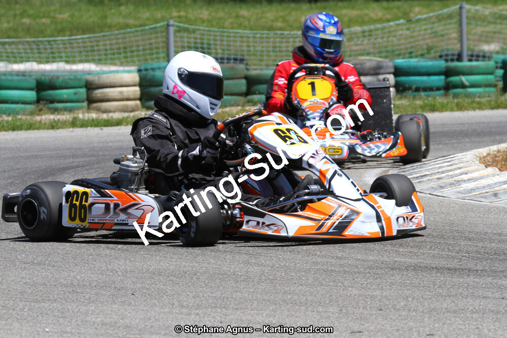 02/06/2013 : 4ème manche du Championnat du Sud 2013 à Alès (Photos Stéphane Agnus) 2013 — karting