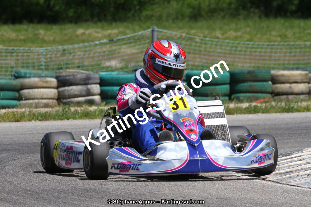 02/06/2013 : 4ème manche du Championnat du Sud 2013 à Alès (Photos Stéphane Agnus) 2013 — karting